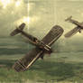 Junkers D1, Western Front 1918