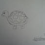 TURTLE!!!!!!