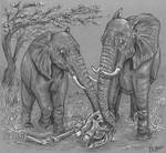 Elephant Funeral