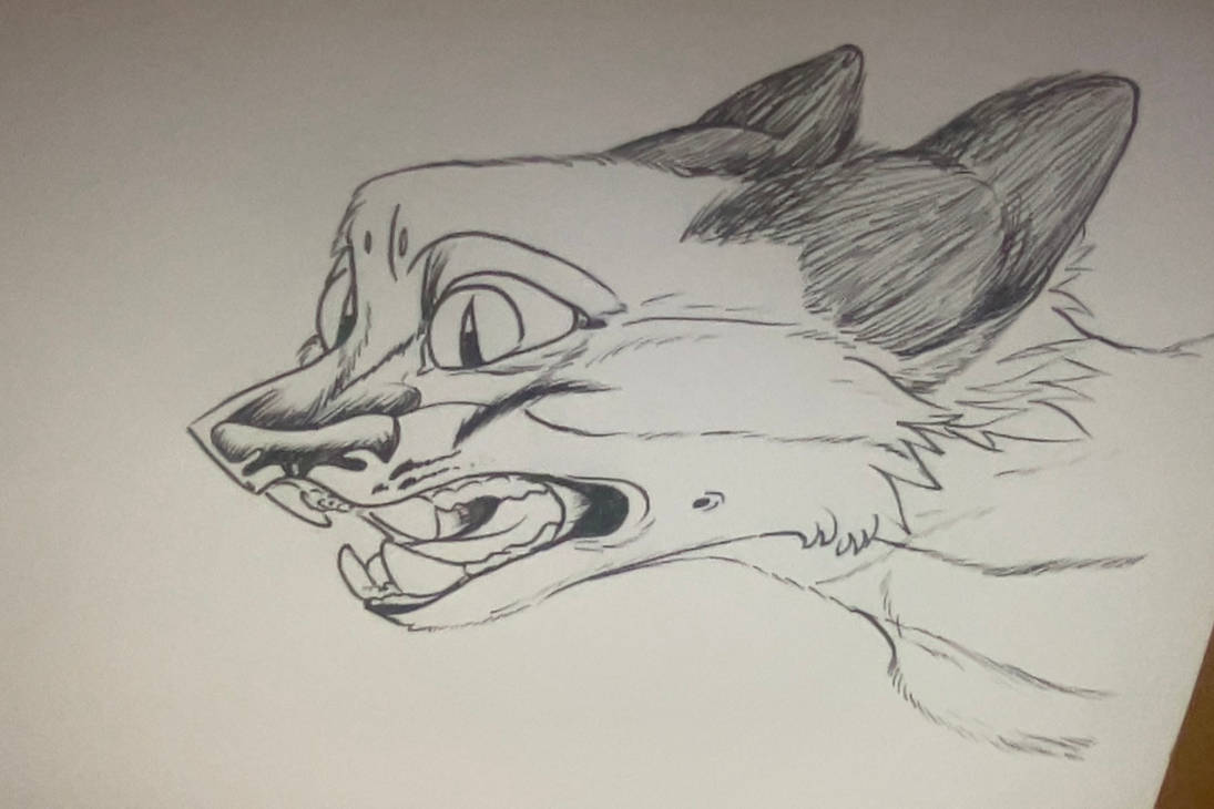 worried stretched fox face wide eyed colorless by pumpkinpiecereal on ...
