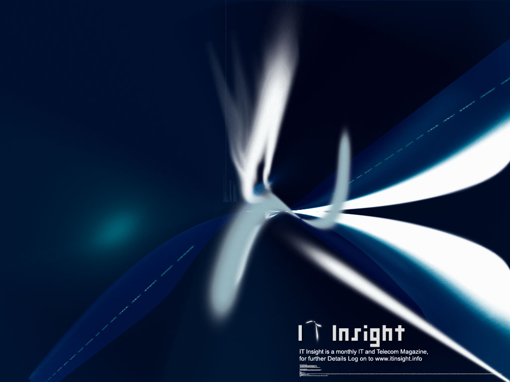 IT Insight II