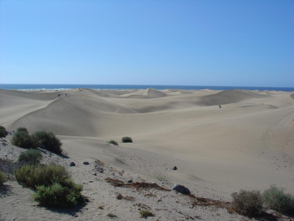 sand dunes.