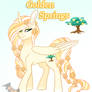 Shipping Grid Result: Golden Springs