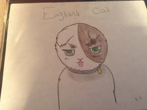 England Cat