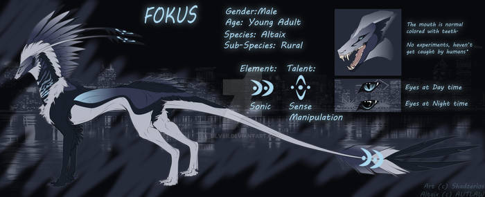 Character Profile: Focus