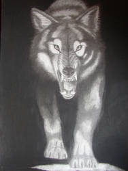 Wolf