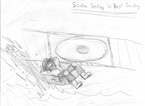 Scuba Sentry is best Sentry