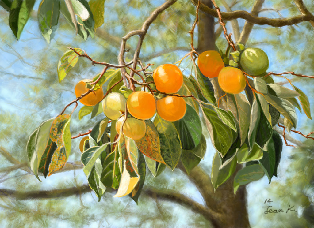 Persimmon Tree by abyss1956