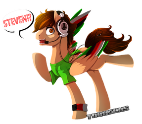 Tobuscus Pony!