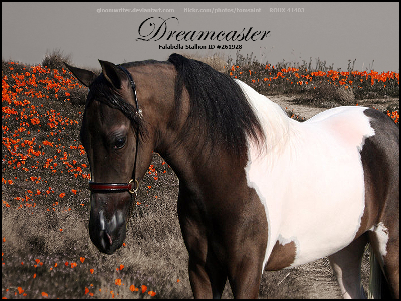 Dreamcaster by RouxHP on DeviantArt