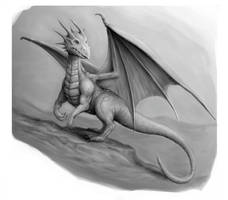 Dragon 1