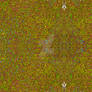 AlienPhotonowhite