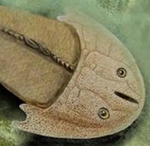 Anoymouse Fish what is this Jawless Fish (wrong answers only) by Pigg2isback on DeviantArt