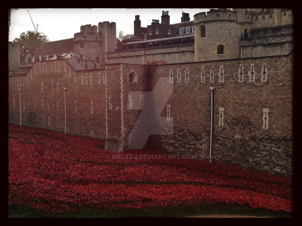 Tall Poppy Syndrome - Tower of London