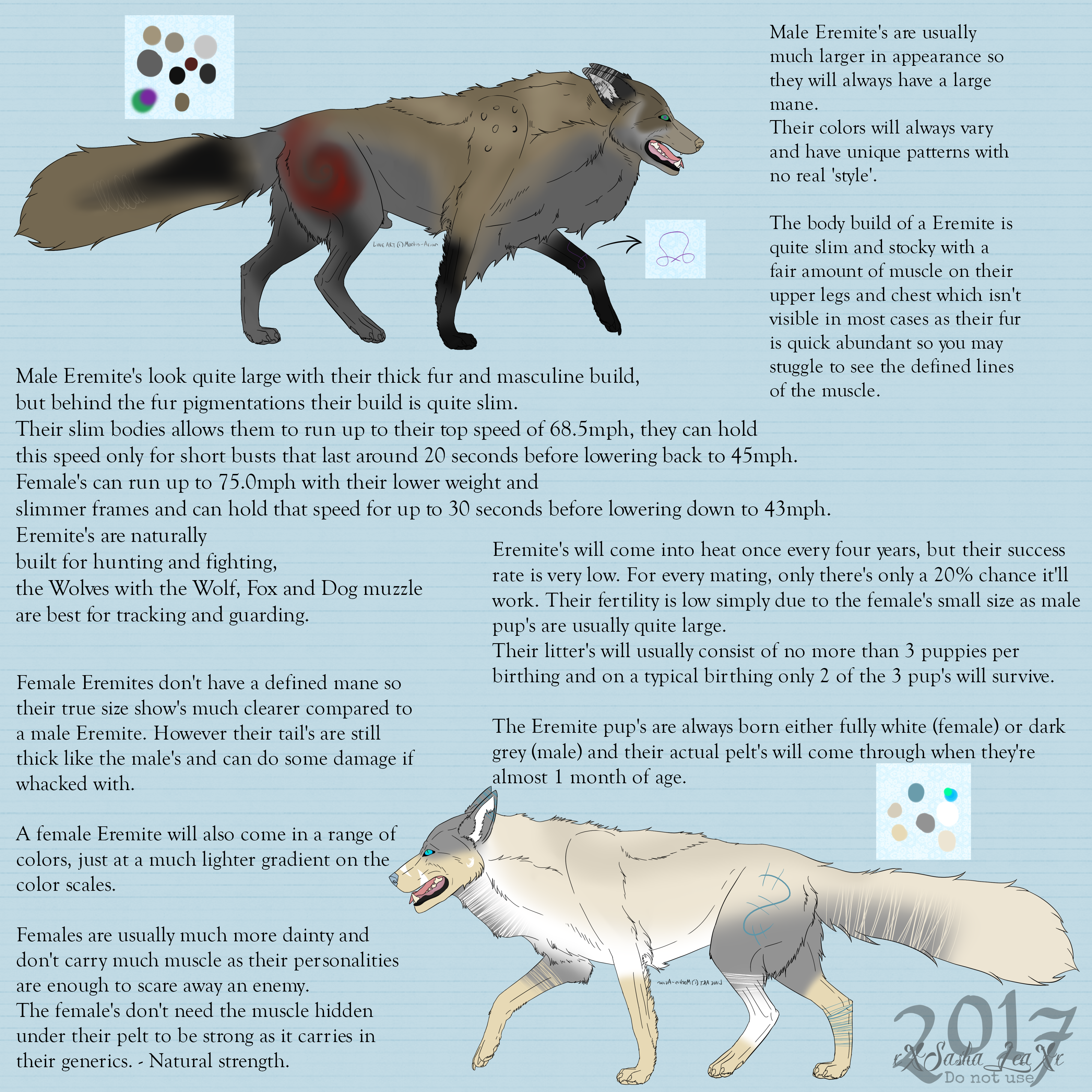 Eremite Information and Appearances!!!