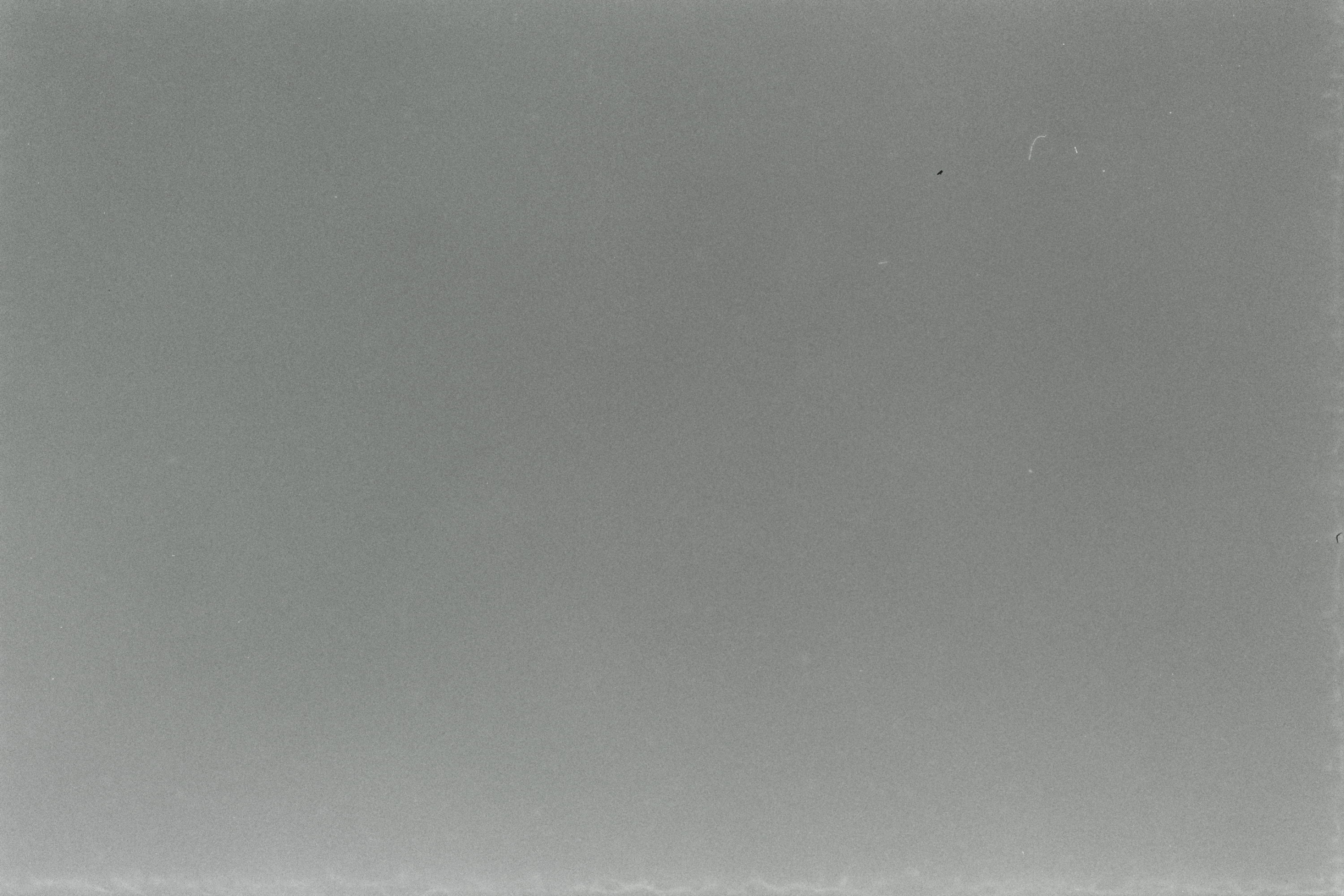 Kodak T-Max 400 Texture