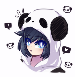 Noel Panda