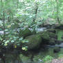 Tranquil English Countryside