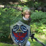 Fighting among ferns - Twilight Princess Link