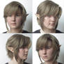 Twilight Princess Link Wig styled