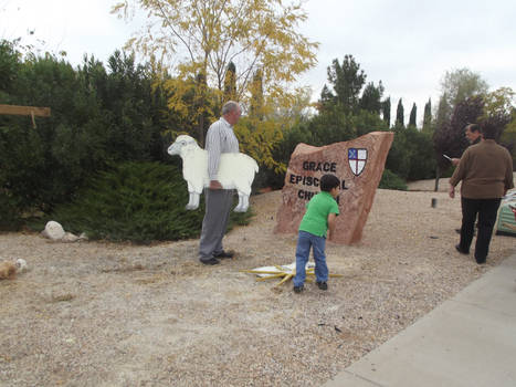 Setting up the nativity scene 2