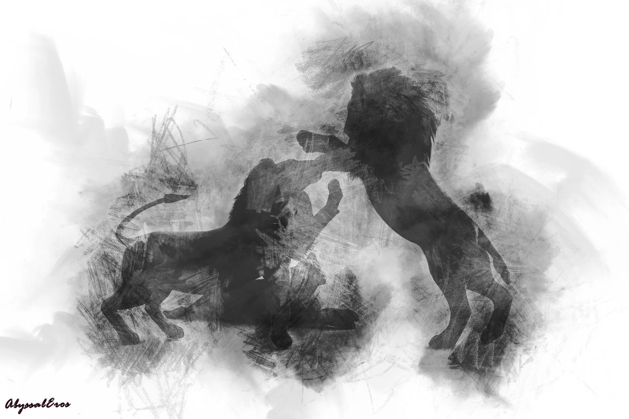 The Lions