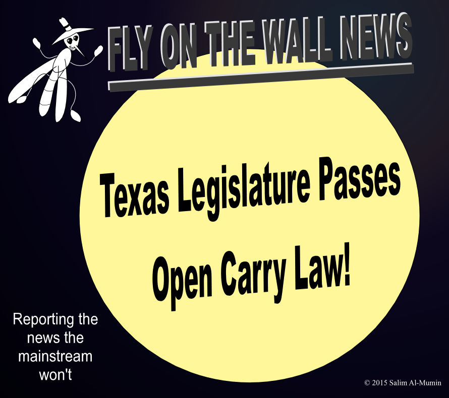 Texas Legislature Passes Open Carry Law! by IAmTheUnison on DeviantArt