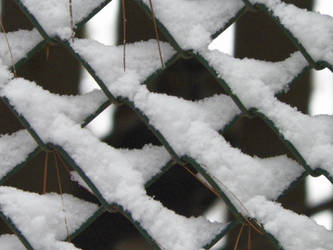 Winter Fence 2