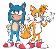 Sonic and Tails the hedgehog