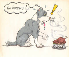 Hungry dog!