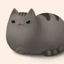 Pusheen