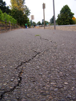 Broken Sidewalk