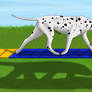 Jack Agility