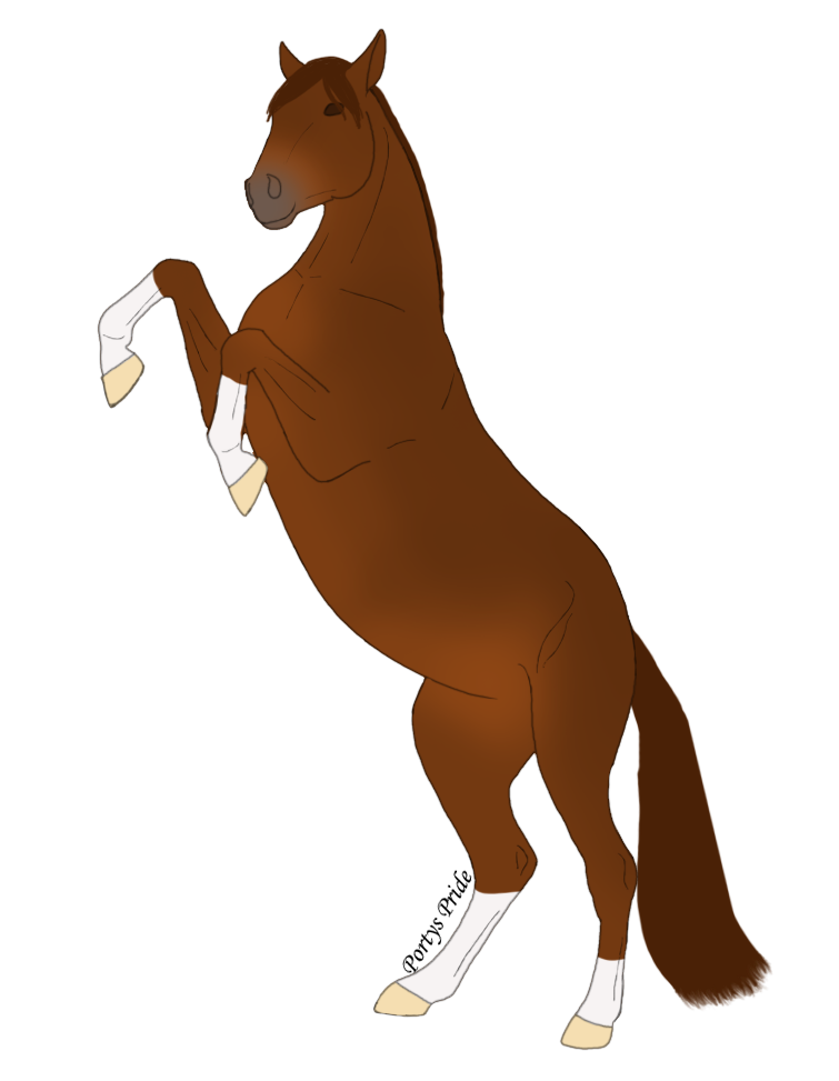 Pryor Mountain - Ranger Showing Off by PortysPrideRescue on DeviantArt
