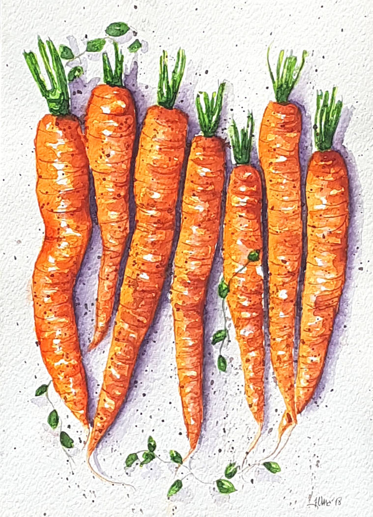 Baby carrots by rougealizarine Baby carrots by rougealizarine