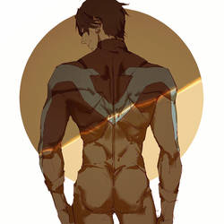 Nightwing1 