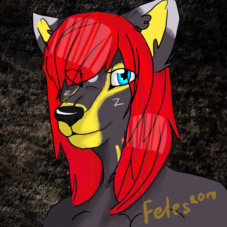 Gift for Furry-Rock 95 by Feles-Boynes on DeviantArt