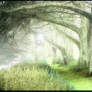 Enchanted Wood