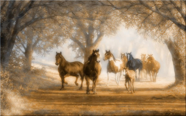 Wild Horses 3