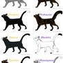 Warrior Cats Designs