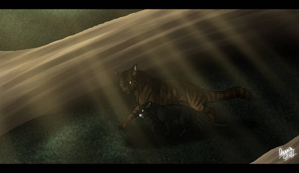 Tigerclaw and Ravenpaw