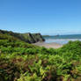 Worm's Head