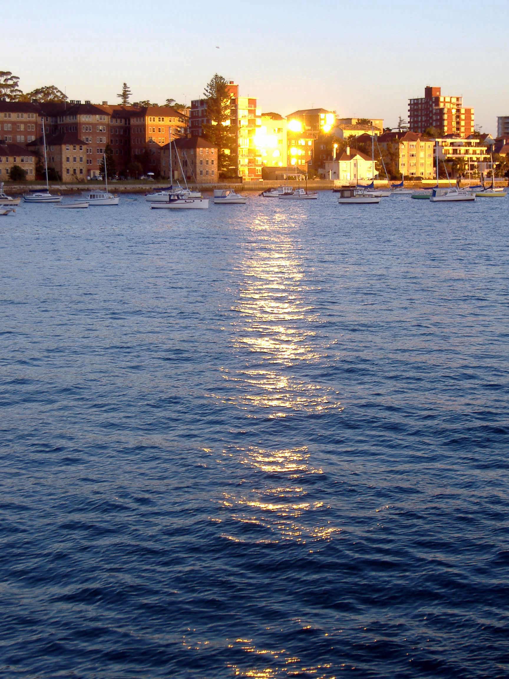 Buildings Shine to the Water