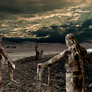 Desert Walker