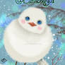 Winter Bird