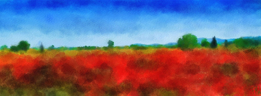 Field of Poppies