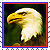 Icon - Eagle by fmr0