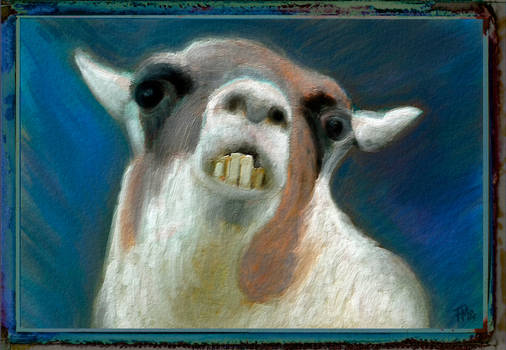 the Hallucinated Llama