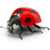 Icon - Ladybird