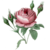 ◢ ◤ Rosebranch ◢ ◤ Dbkifwo-6f418594-e439-43a6-92d3-67f96af8243e.png?token=eyJ0eXAiOiJKV1QiLCJhbGciOiJIUzI1NiJ9.eyJzdWIiOiJ1cm46YXBwOjdlMGQxODg5ODIyNjQzNzNhNWYwZDQxNWVhMGQyNmUwIiwiaXNzIjoidXJuOmFwcDo3ZTBkMTg4OTgyMjY0MzczYTVmMGQ0MTVlYTBkMjZlMCIsIm9iaiI6W1t7InBhdGgiOiJcL2ZcLzM0ZjY1NjY2LWY3ZDctNGE0My04MGQxLTQ4YTljNzRjODE4M1wvZGJraWZ3by02ZjQxODU5NC1lNDM5LTQzYTYtOTJkMy02N2Y5NmFmODI0M2UucG5nIn1dXSwiYXVkIjpbInVybjpzZXJ2aWNlOmZpbGUuZG93bmxvYWQiXX0